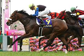 Самые новые твиты от 熟女会 (@shunvhui). Jraãƒ›ãƒ¼ãƒ ãƒšãƒ¼ã‚¸ ãƒ‡ãƒ¼ã‚¿ãƒ•ã‚¡ã‚¤ãƒ« ç«¶èµ°æˆç¸¾ãƒ‡ãƒ¼ã‚¿