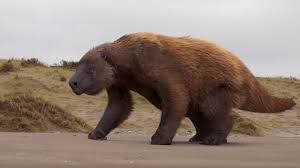 If you want the latest, most updated version, or you are looking to experience myst in vr, then myst is the version for you. French Connection Films Lost Giants Vr