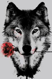 Black And White Wolf Tattoo Ideas My 1 Fav Wolf Tattoo Mez Wants To Get Wolf In Black And White Red Rose Desenho De Tatuagem De Lobo Ilustracao Lobo Tatuagen Feminina