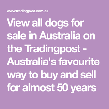Puppies for sale australia trading post. View All Dogs For Sale In Australia On The Tradingpost Australia S Favourite Way To Buy And Sell For Almost 50 Years Dogs For Sale Puppies For Sale Australia