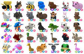 Find and adopt a pet on petfinder today. Roblox Adopt Me Pets Mega Neon Fly Ride Ocean Egg Pet Cheap Ebay