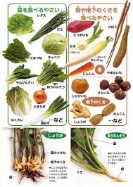 食べているのはどの部分 やさいのひみつ