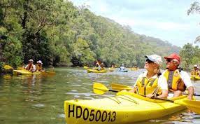 Sydney S Best Kayaking Spots Kayaking Sea Kayaking Kayak Camping