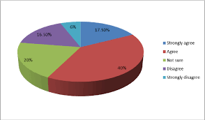 1 A Pie Chart Showing Respondents Opinions On Neatness Of