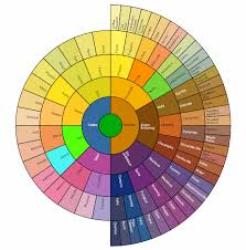 visualize hierarchy with a zoomable sunburst wheel sap blogs