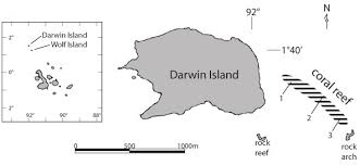 We did not find results for: Location Of Darwin And Wolf Islands In The Galapagos Archipelago And Download Scientific Diagram
