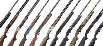 We did not find results for: The 10 Best Budget Shotguns