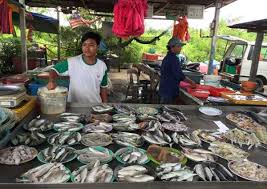 Terdapat banyak gua besar dan kecil di kawasan itu yang menjadi rumah bagi beragam jenis dan warna terumbu karang serta tempat menarik di bali. Tempat Menarik Di Sabak Bernam Yang Terkini 2021 Paling Cantik