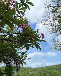 puerto rico photo dump <3