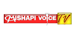 You can also launch apps and adjust tv settings with just your voice, including volume, picture quality, and more. Mishapi Voice Tv Home Facebook