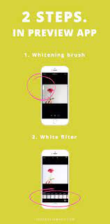 The Easiest Way To Make A White Background For Instagram Photos Instagram Marketing Tips Instagram Instagram Business Marketing