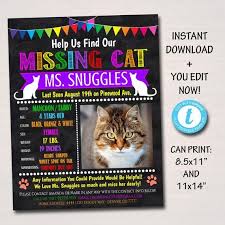 Missing cat found near his own missing cat poster. Lost Cat Poster