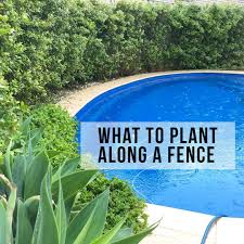 What To Plant Along A Fence Use our estimator to find the.