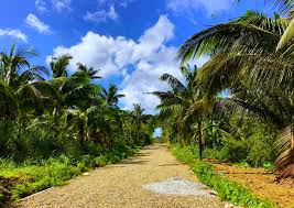 Check spelling or type a new query. Farm With Many Fruit Bearing Trees Near Sonya S Garden Lot For Sale Lot June 2021 In Alfonso Cavite For Sale Discounted Promo