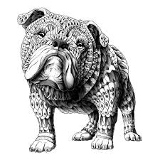 Printable bulldog coloring pages are a fun way for kids of all ages to develop creativity, focus, motor skills and color recognition. Old English Bulldog Coloring Pages