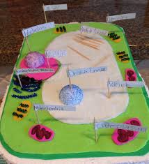 Maybe you would like to learn more about one of these? Plant Cell Project Plant Cell Model Cells Project