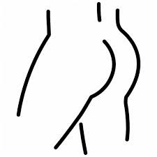 Terms relating to anatomical structures and directions. Anatomy Body Bottom Female Human Sexy Woman Icon Download On Iconfinder