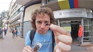 Archivo de noticias en colombia y el mundo sobre luisito comunica. Comiendo Hormigas En Colombia Youtube