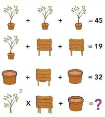 With this, stump me!, and brain sharp: Plant Fence Pot Math Puzzle With Answer Forward Junction Puzzles