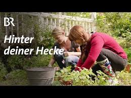 Hinter Deiner Hecke In Breitbrunn Am Ammersee Youtube Hecke Cottage Garten Kuchengarten