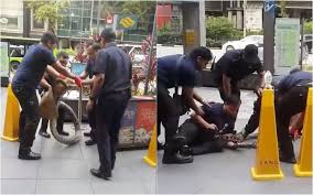 Having a wealth of experience, they offer a wide range of with that, they are a compact pest control mangement company in singapore. Pest Control Firm Anticimex Stands Behind Handling Of Tang Plaza Python Acres Issues Rebuttal Coconuts Singapore