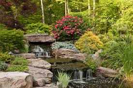 Find all types and styles, including naturalistic and formal designs—plus fountains, waterfalls, streams, and bog gardens. Waterfall Fountain Houzz