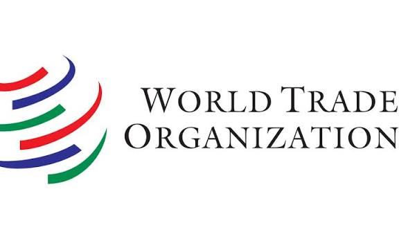WTO là gì? Chức năng, nhiệm vụ và vai trò của Tổ chức mậu dịch quốc tế WTO