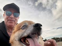 My local friend, the dogs and I wish you happy holidays from Bali 😁❤️  @di.hou 📸📸📸📸 @bb_islandwear #bali #balilife #dogs