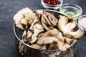 Written by chris goodall, kenyon 22'. Pleurotus Un Genere Di Funghi Carnosi Dalle Tante Proprieta