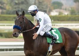 I cannot believe he won this race, baffert said of medina spirit. Life Is Good Medina Spirit Have Baffert Thinking Kentucky Derby