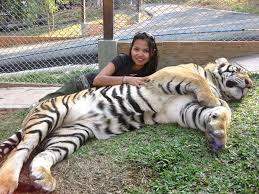 Image result for women at a petting zoo