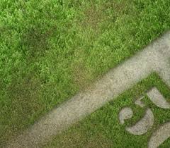 Get a feel for finishing paths and starting new ones. Create An Awesome Grass Texture In Photoshop Free Photoshop Tutorial