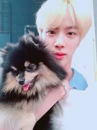 Bts' jin got his eyes teary as he talked about the death of his pet 'odeng' thank for. Odeng Hashtag On Twitter