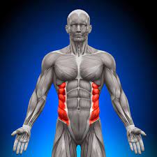 By bringing your pelvis toward your rib cage, you emphasize the lower half of your abs. What Is Rib Flare How To Prevent It Builtlean