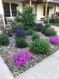 Check spelling or type a new query. Wisconsin Plants Direct