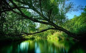 Nature 4k pc full hd. Nature Wallpapers For Pc Wallpaper Cave