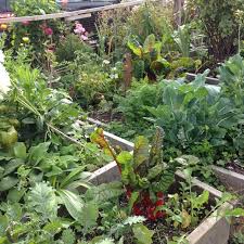For gardeners in the city, a rooftop garden mutes sunlight before it. Summer Vegetable Gardening Learn How Do You Keep Your Vegetables Growing All S