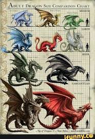 Get Your Meme On Dragon Artwork Dragon Drawing Dragon Art