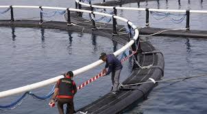 Penyidik Kejati Aceh Sita Barang Bukti Kasus Korupsi Keramba Jaring Apung Sabang