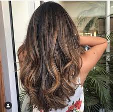 Pin By Kristina Semesjuk On All About Hair Honey Hair Color Brown Hair With Highlights Hair Color Light Brown