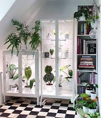 8 Serres Et Mini Serres Pour Mettre Ses Plantes En Valeur In 2020 Plant Decor Indoor Indoor Greenhouse Plant Display Ideas