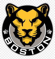 Transparent background png images for designers. Boston Bruins Logo Png Transparent Background Boston Pride Hockey Logo Clipart 4329281 Pikpng