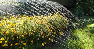 Wer gießt meine pflanzen über ein langes wochenende, wenn ich nicht da bin? Gartenbewasserung Das Solltest Du Dringend Beachten Zuhausewohnen