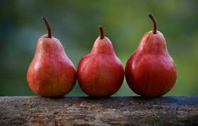 Timing is critical, with a first spray about two weeks after most petals have fallen from the tree's blossoms. How Holistic Fruit Tree Sprays Can Prevent Pests And Disease