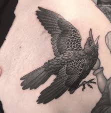 This simple design of a raven perched on a branch against a midnight blue sky is classic and timeless. Raven Tattoo 200 Crow Tattoo Designs To Inspire You Tattoo Stylist