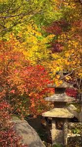 Anderson Japanese Gardens Rockford Illinois Japanese Garden Places To Travel Garden Inspiration