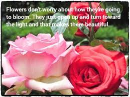 Check spelling or type a new query. 68 Songs About Flowers Spinditty