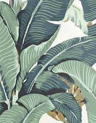 Download the perfect beverly hills hotel pictures. 10 Ultimate Wallpapers Martinique Wallpaper Palm Wallpaper Banana Leaf Wallpaper
