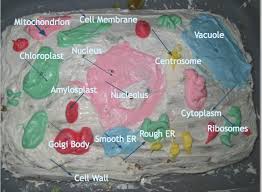 Check spelling or type a new query. Living Cells By Hannah Phelps