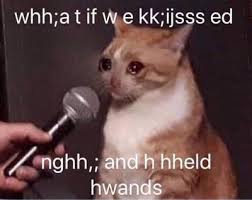 Tagged database of memes, with the vibe of a museum. Reactions On Twitter Whh A T If W E Kk Ijsss Ed Nghh And H Hheld Hwands Crying Cat Microphone What If We Kissed And Held Hands